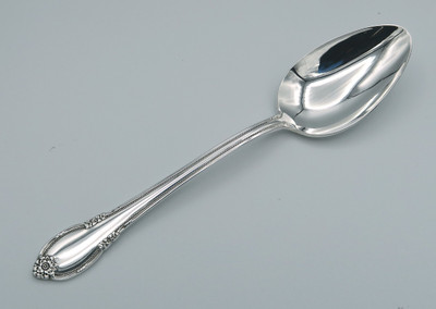 Remembrance by 1847 Rogers Bros dessert/place spoon