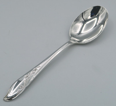 Springtime by 1847 Rogers Bros place spoon