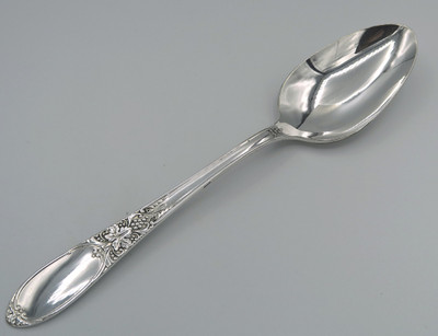Burlington/Champagne by Wm Rogers serving spoon