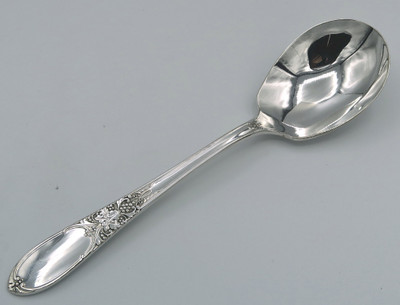 Burgundy/Champagne by Wm Rogers sugar spoon