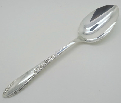 Country Lane by Wm A Rogers  place oval soup spoon