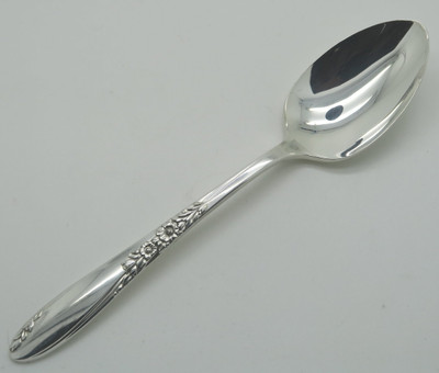 Country Lane by Wm A Rogers teaspoon