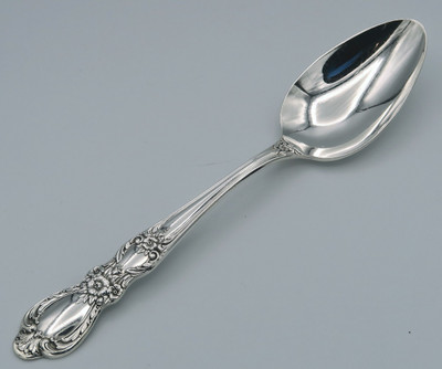Heritage by 1847 Rogers Bros place spoon
