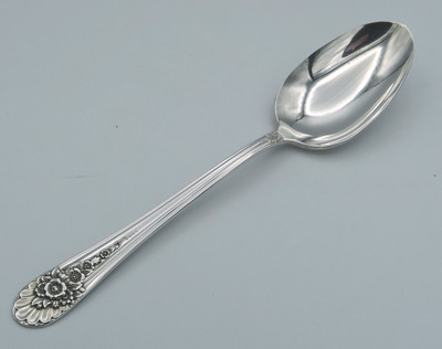 Jubilee by Wm Rogers place spoon