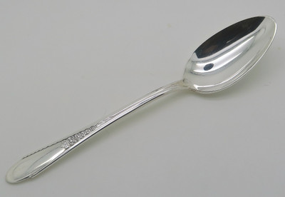 Gardenia by Wm Rogers & Son teaspoon