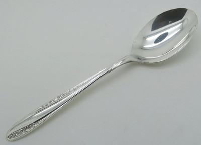 Modern Precious place oval soup spoon