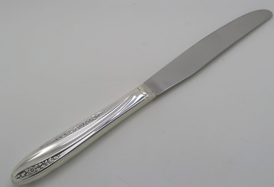 Modern Precious hollow dinner knife