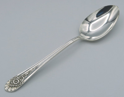 Jubilee by Wm Rogers teaspoon