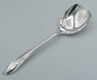 Springtime by 1847 Rogers Bros sugar spoon