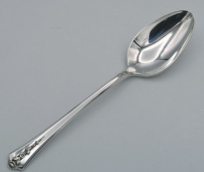 Spring Garden five O'clock spoon By Holmes & Edwards