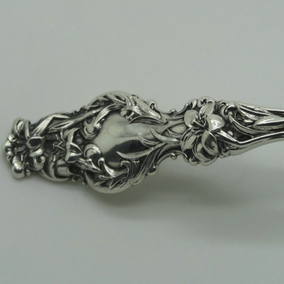 Lily by Whiting 1902