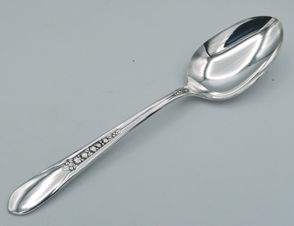 Priscilla place spoon