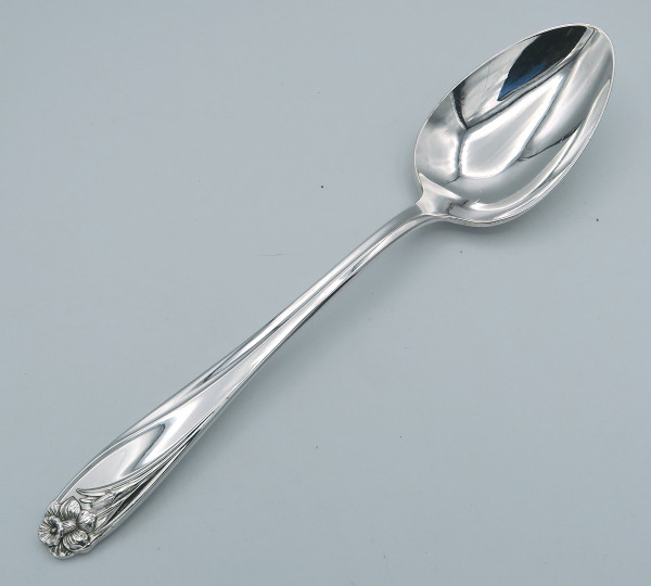 Daffodil by 1847 Rogers Bros serving spoon