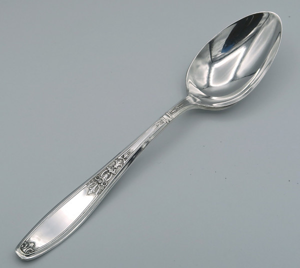 Ambassador by 1847 Rogers Bros place spoon