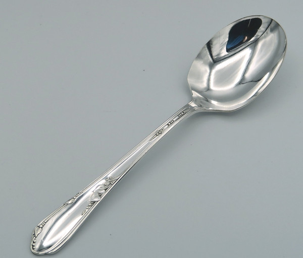 Meadowbrook sugar spoon by Wm A Rogers Oneida