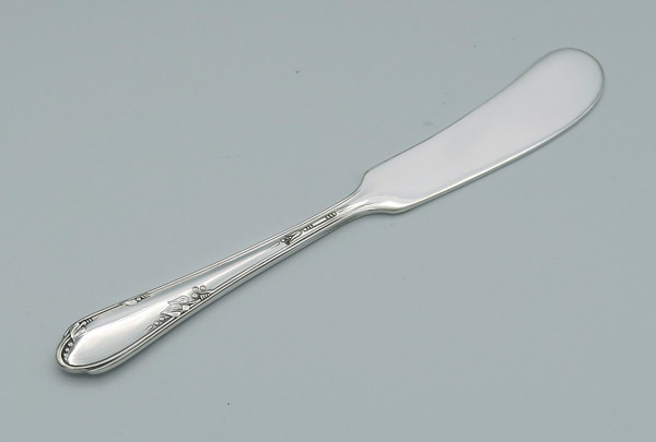 Meadowbrook butter spreader by Wm A Rogers Oneida