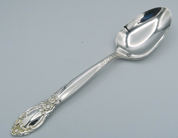 Ballad by Community serving spoon