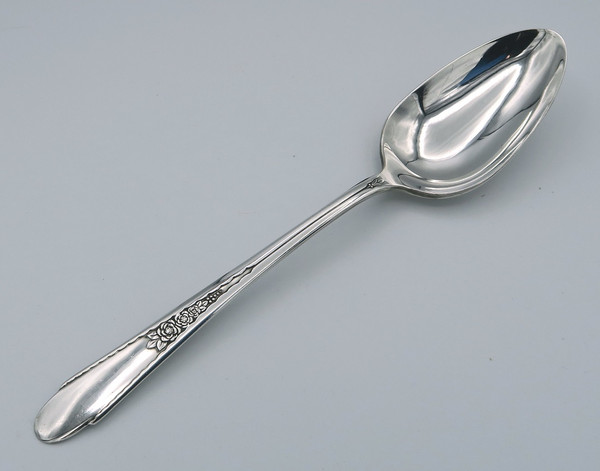 Gardenia by Wm Rogers & Son serving spoon