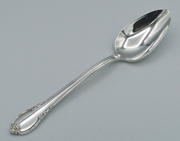 Remembrance by 1847 Rogers Bros  teaspoon