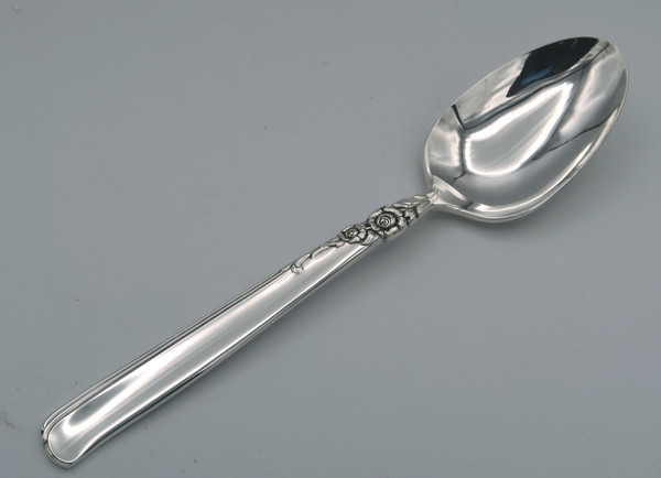 Gay Adventure by Prestige Plate Oneida dessert/oval soup spoon