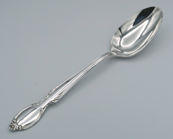 Precious Mirror serving spoon
