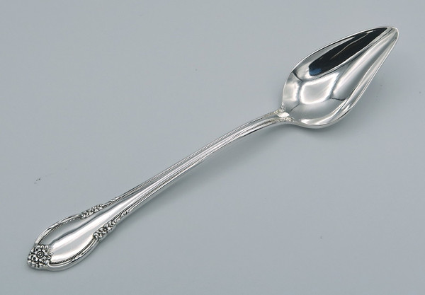 Remembrance by 1847 Rogers Bros  grapefruit spoon