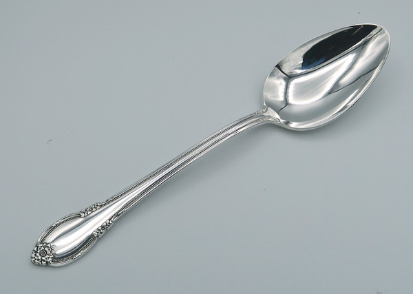 Remembrance by 1847 Rogers Bros dessert/place spoon