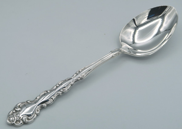 Beethoven by Community serving spoon
