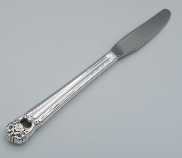 Eternally yours by 1847 Rogers Bros grille knife