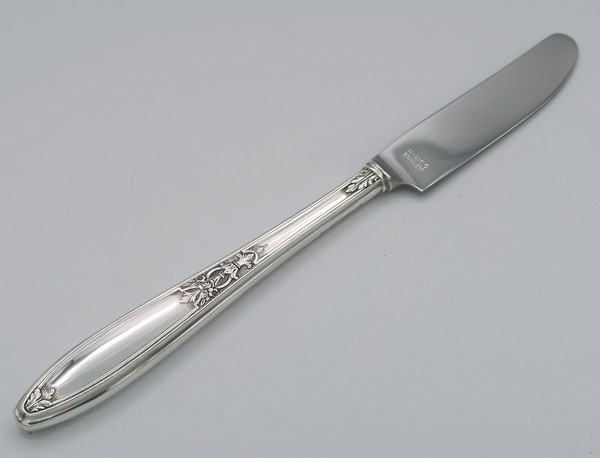 Ambassadorby 1847 Rogers Bros grille knife with French blade