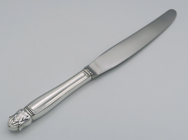 Danish Princess by Holmes & Edwards 9 5/8" modern hollow knife