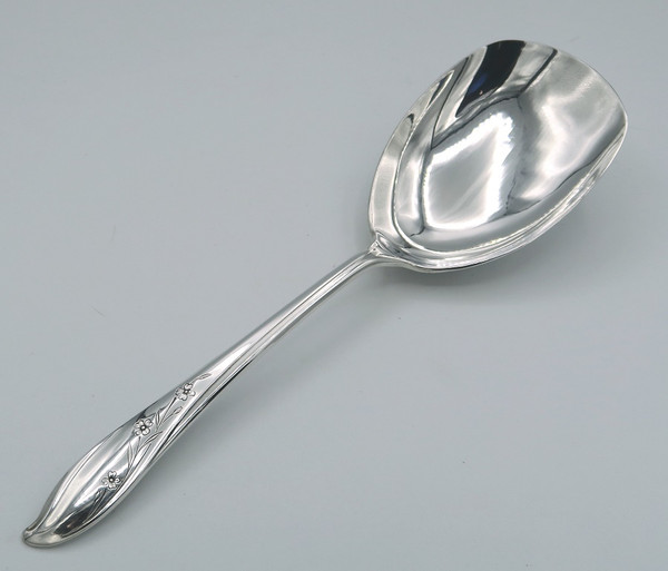 Springtime by 1847 Rogers Bros berry spoon