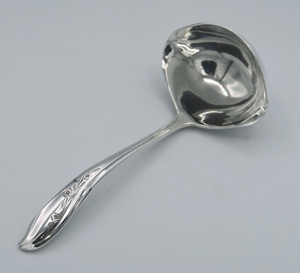 Springtime by 1847 Rogers Bros gravy ladle