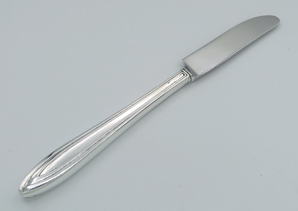 Silhouette by 1847 Rogers Bros grille knife French blade