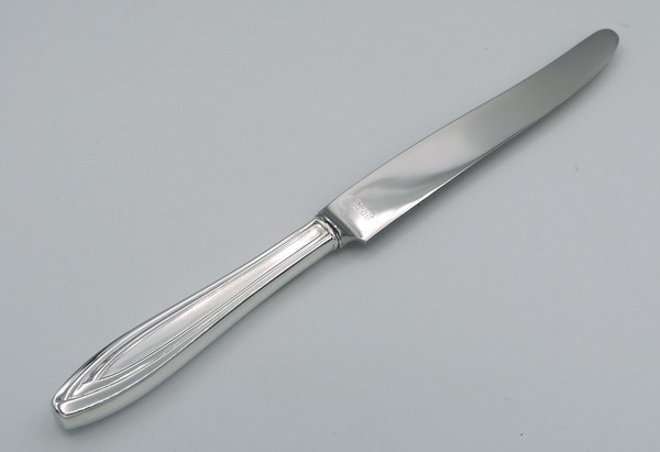 Silhouette by 1847 Rogers Bros dinner knife French blade