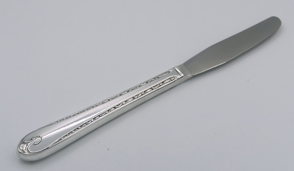 Exquisite by Wm Rogers & Son grille knife modern blade