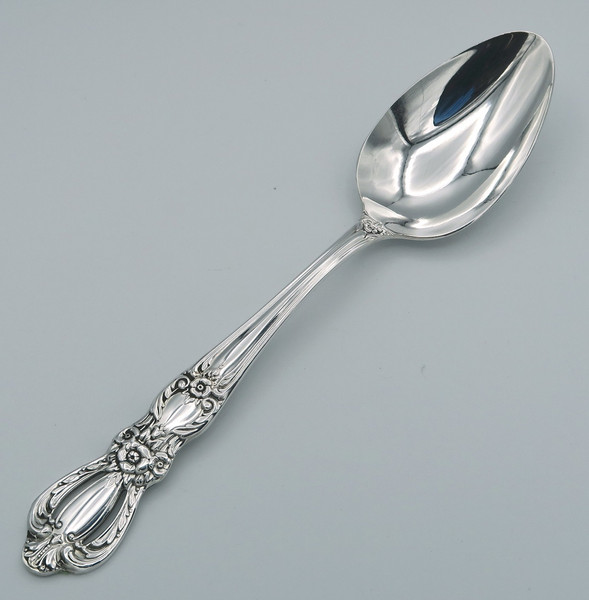 Grand Heritage by 1847 Rogers Bros place spoon