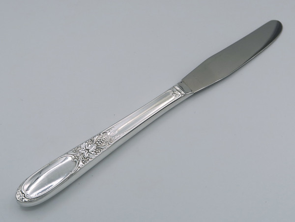 Burlington/Champagne by Wm Rogers grille knife