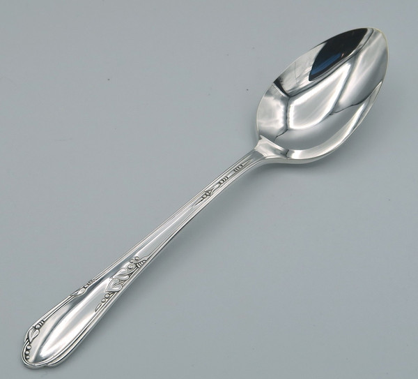 Meadowbrook teaspoon by Wm A Rogers Oneida