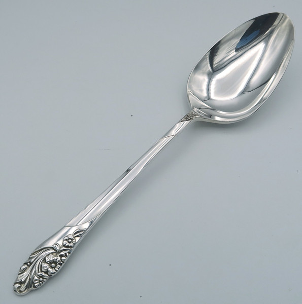Evening Star by Community  serving spoon