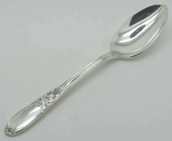 Burgundy / Champagne by Wm Rogers teaspoon