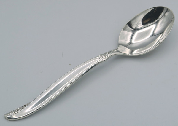 Leilani by 1847 Rogers Bros teaspoon
