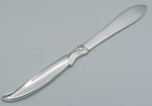 Flair by 1847 Rogers Bros master butter knife
