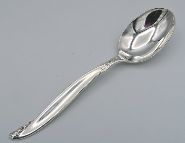 Leilani by 1847 Rogers Bros place spoon