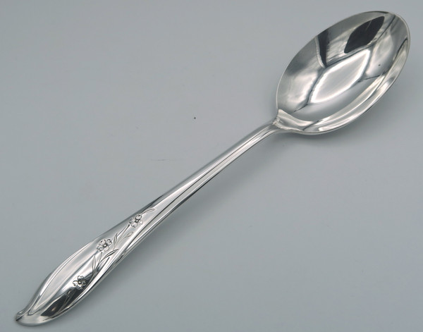 Springtime by 1847 Rogers Bros serving spoon