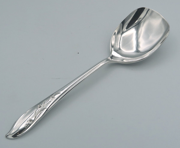 Springtime by 1847 Rogers Bros sugar spoon