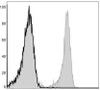 FITC Anti-Mouse CD3 Antibody [17A2] (AGEL0098)