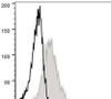 GenieFluor 488 Anti-Mouse CD71 Antibody [R17 217.1.3/TIB-219] (AGEL0340)