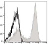 APC Anti-Mouse CD90.2 Antibody [30H12] (AGEL0345)