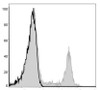 PE Anti-Human CD8a Antibody [OKT-8] (AGEL0408)